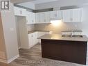 62 - 324 Equestrian Way, Cambridge, ON  - Indoor Photo Showing Kitchen With Double Sink 