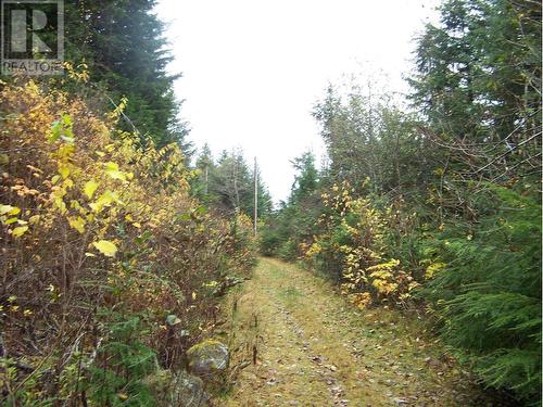 Dl 126 Mackenzie 20 Highway, Bella Coola, BC 