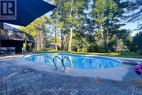 11 Marcus Court, Vaughan, ON - Outdoor With In Ground Pool