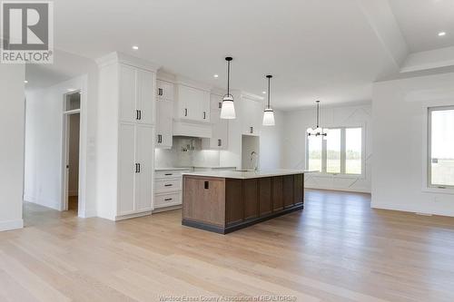 418 County Road 34 West, Kingsville, ON - Indoor Photo Showing Kitchen With Upgraded Kitchen