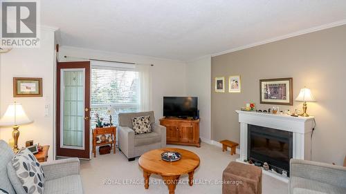 305 - 131 Clapperton Street, Barrie, ON - Indoor Photo Showing Living Room With Fireplace