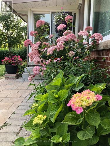 60 Transwell Avenue, Toronto, ON - Outdoor With Deck Patio Veranda