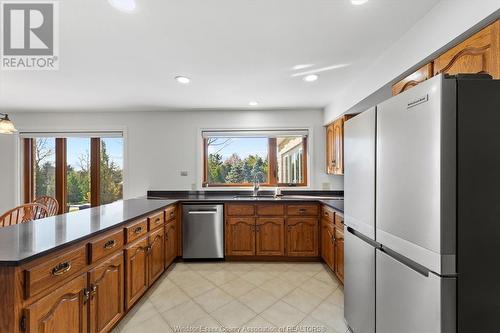 5735 Huron Church Line Road, Lasalle, ON - Indoor Photo Showing Kitchen With Double Sink