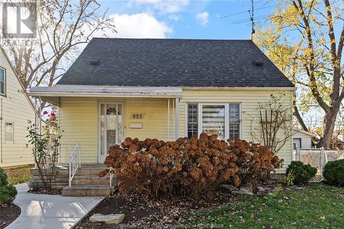 953 Lena Avenue, Windsor, ON - Outdoor With Deck Patio Veranda