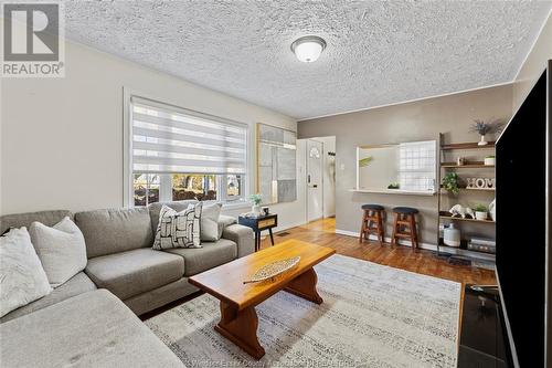 953 Lena Avenue, Windsor, ON - Indoor Photo Showing Living Room