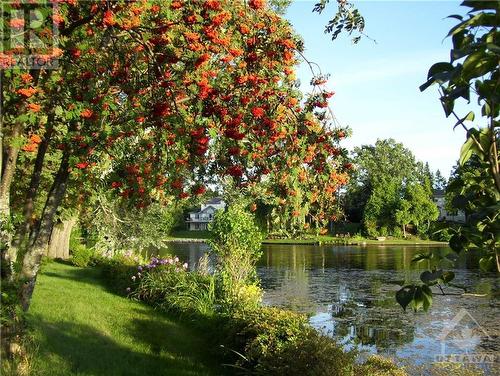 West shoreline - 5328 Kilby Lane, Manotick, ON - Outdoor With Body Of Water