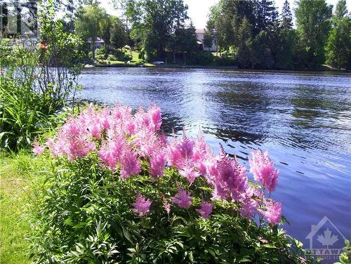 South shore - 5328 Kilby Lane, Manotick, ON - Outdoor With Body Of Water