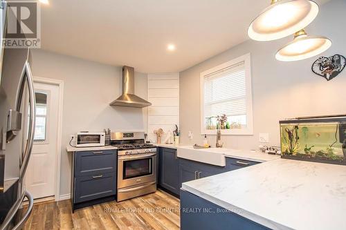 51 Saint Paul Street, Kawartha Lakes (Lindsay), ON - Indoor Photo Showing Kitchen With Upgraded Kitchen