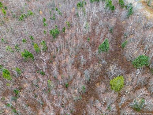 Lot Renauds Mills Rd, Saint-Antoine, NB 