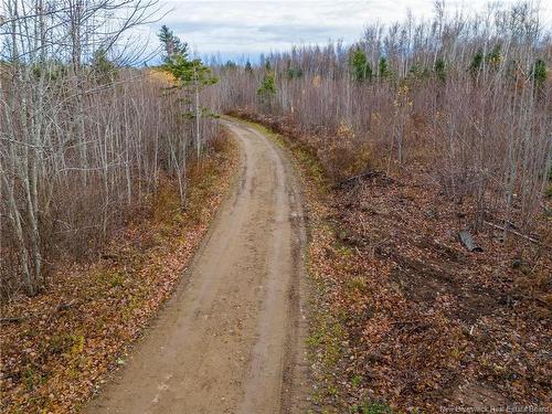 Lot Renauds Mills Rd, Saint-Antoine, NB 