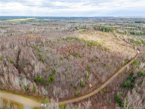 Lot Renauds Mills Rd, Saint-Antoine, NB 