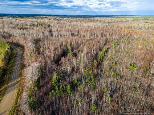 Lot Renauds Mills Rd, Saint-Antoine, NB 