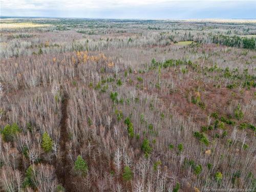 Lot Renauds Mills Rd, Saint-Antoine, NB 