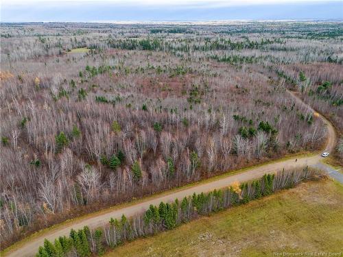 Lot Renauds Mills Rd, Saint-Antoine, NB 