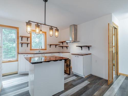 Dwelling - 35 Route De Buckland, Sainte-Claire, QC - Indoor Photo Showing Kitchen