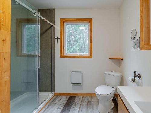 Dwelling - 35 Route De Buckland, Sainte-Claire, QC - Indoor Photo Showing Bathroom