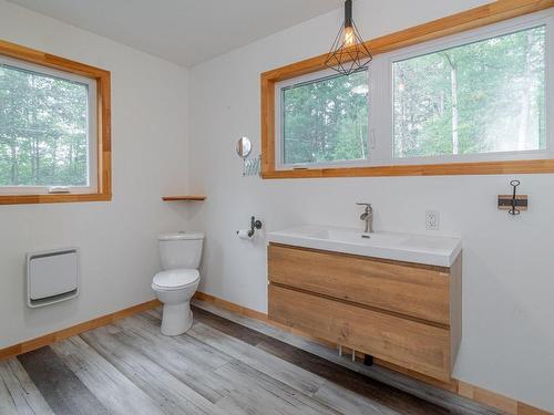 Dwelling - 35 Route De Buckland, Sainte-Claire, QC - Indoor Photo Showing Bathroom