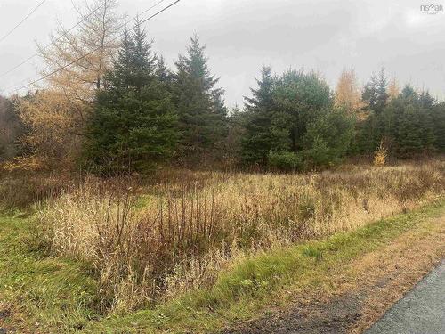 Lot 1 New Cheverie Road, Lower Burlington, NS 