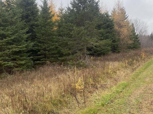 Lot 1 New Cheverie Road, Lower Burlington, NS 