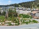 5850 Snow Pines Way, Big White, BC  - Outdoor With View 