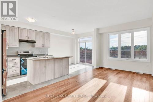 205 Port Crescent, Welland, ON - Indoor Photo Showing Kitchen With Double Sink