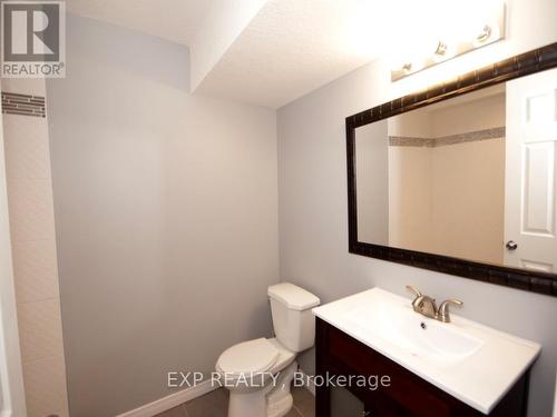 69 Meadowridge Street, Kitchener, ON - Indoor Photo Showing Bathroom