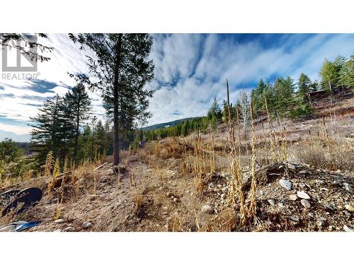 Sl 1 Beaverdell Station Road, Beaverdell, BC - Outdoor With View