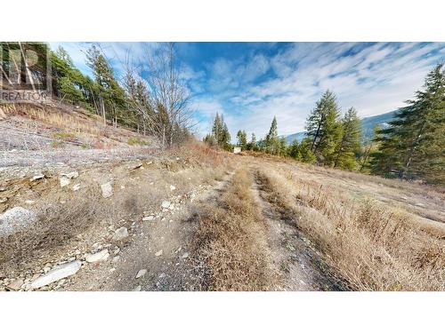 Sl 1 Beaverdell Station Road, Beaverdell, BC - Outdoor With View