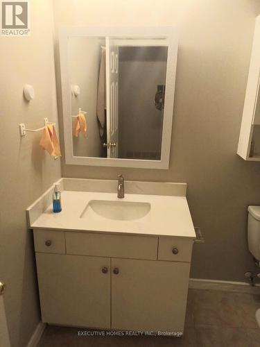 125 Municipal Street, Guelph, ON - Indoor Photo Showing Bathroom