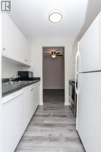 209 - 440 Wellington Street, St. Thomas, ON - Indoor Photo Showing Kitchen