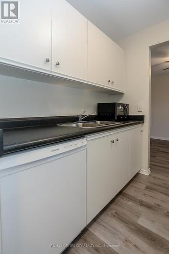 209 - 440 Wellington Street, St. Thomas, ON - Indoor Photo Showing Kitchen With Double Sink