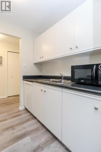 209 - 440 Wellington Street, St. Thomas, ON - Indoor Photo Showing Kitchen With Double Sink