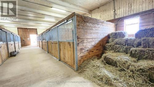 578 Brown Road, Stone Mills, ON -  Photo Showing Other Room