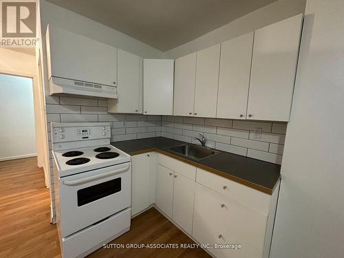 101 - 52 Metcalfe Street, Toronto, ON - Indoor Photo Showing Kitchen