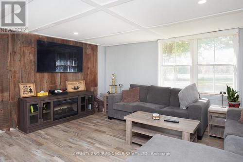 163 Sturgeon Point Road, Kawartha Lakes (Fenelon Falls), ON - Indoor Photo Showing Living Room With Fireplace