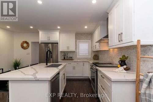 49 Hillary Avenue, Toronto, ON - Indoor Photo Showing Kitchen With Double Sink With Upgraded Kitchen