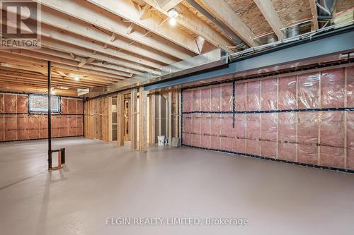 21 Berardi Crescent, South-West Oxford (Mount Elgin), ON - Indoor Photo Showing Basement