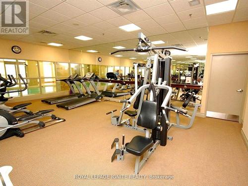 Ph208 - 349 Rathburn Road W, Mississauga, ON - Indoor Photo Showing Gym Room