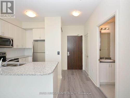 Ph208 - 349 Rathburn Road W, Mississauga, ON - Indoor Photo Showing Kitchen With Double Sink