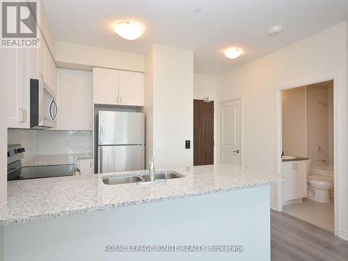 Ph208 - 349 Rathburn Road W, Mississauga, ON - Indoor Photo Showing Kitchen With Double Sink With Upgraded Kitchen