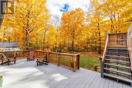 15 Mundy Avenue, Tiny, ON - Outdoor With Deck Patio Veranda With Exterior