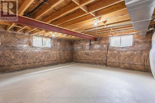 14 Hayes Street S, London, ON - Indoor Photo Showing Basement