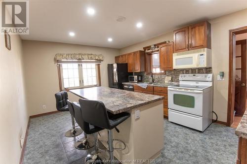 667 Wallace Street, Wallaceburg, ON - Indoor Photo Showing Kitchen