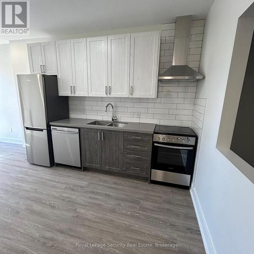 3 - 513 Ossington Avenue, Toronto, ON - Indoor Photo Showing Kitchen With Stainless Steel Kitchen With Double Sink