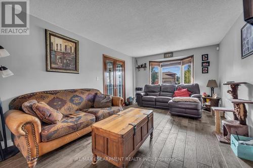 113 Valera Drive, Hamilton, ON - Indoor Photo Showing Living Room