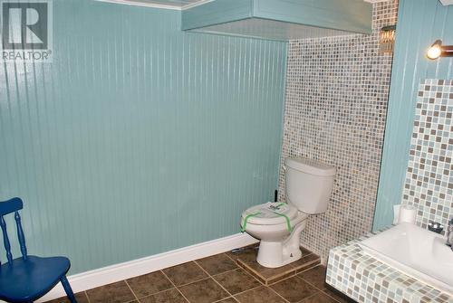 438 Main Street, Big Salmonier, NL - Indoor Photo Showing Bathroom