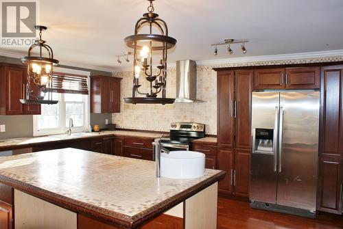 438 Main Street, Big Salmonier, NL - Indoor Photo Showing Kitchen With Upgraded Kitchen