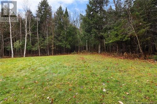 7 Mcclellan Cres, Nackawic, NB - Outdoor With View