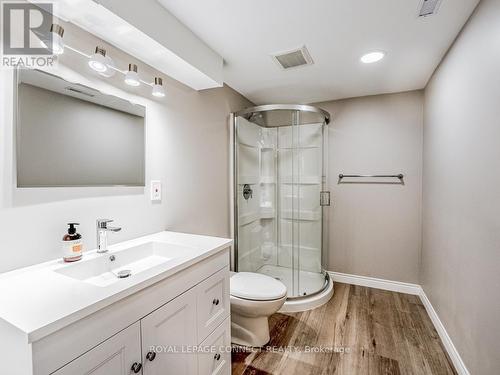 463 Woodward Avenue, Milton, ON - Indoor Photo Showing Bathroom