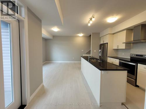 18 Oat Lane, Kitchener, ON - Indoor Photo Showing Kitchen With Upgraded Kitchen